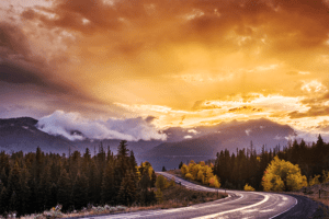 A road winds between trees with a beautiful sunset in the background