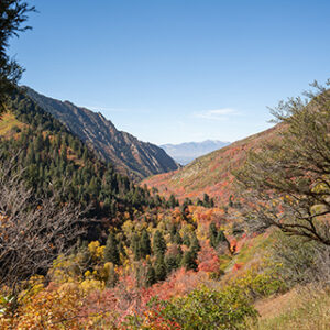 Millcreek, Utah